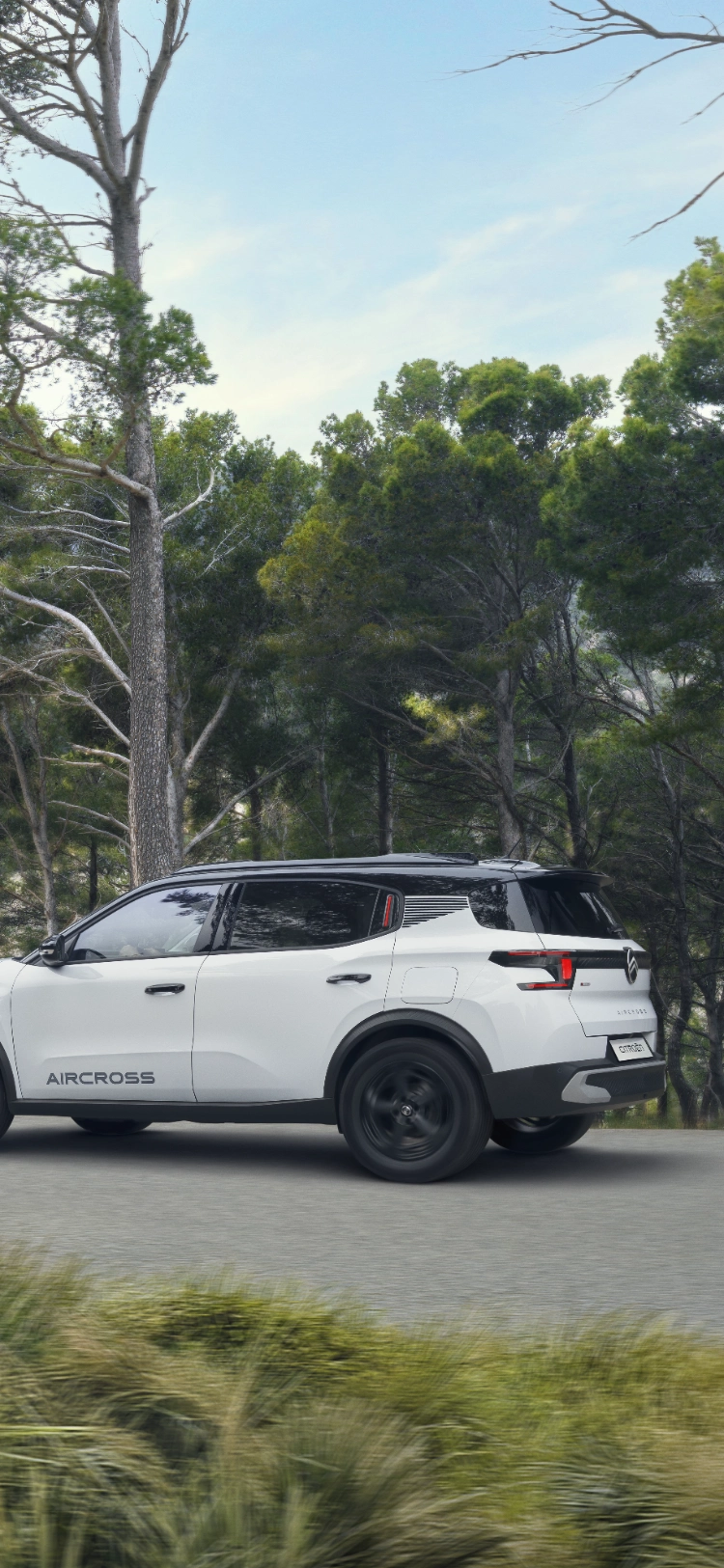 Vue de conduite de trois-quarts arrière du SUV Citroën C3 Aircross sur un chemin forestier, mettant en avant ses performances robustes pour une mobilité sûre, polyvalente et abordable.